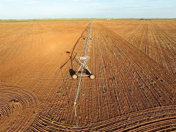 231 Acres of Agricultural Land for Sale in Rochester, Texas
