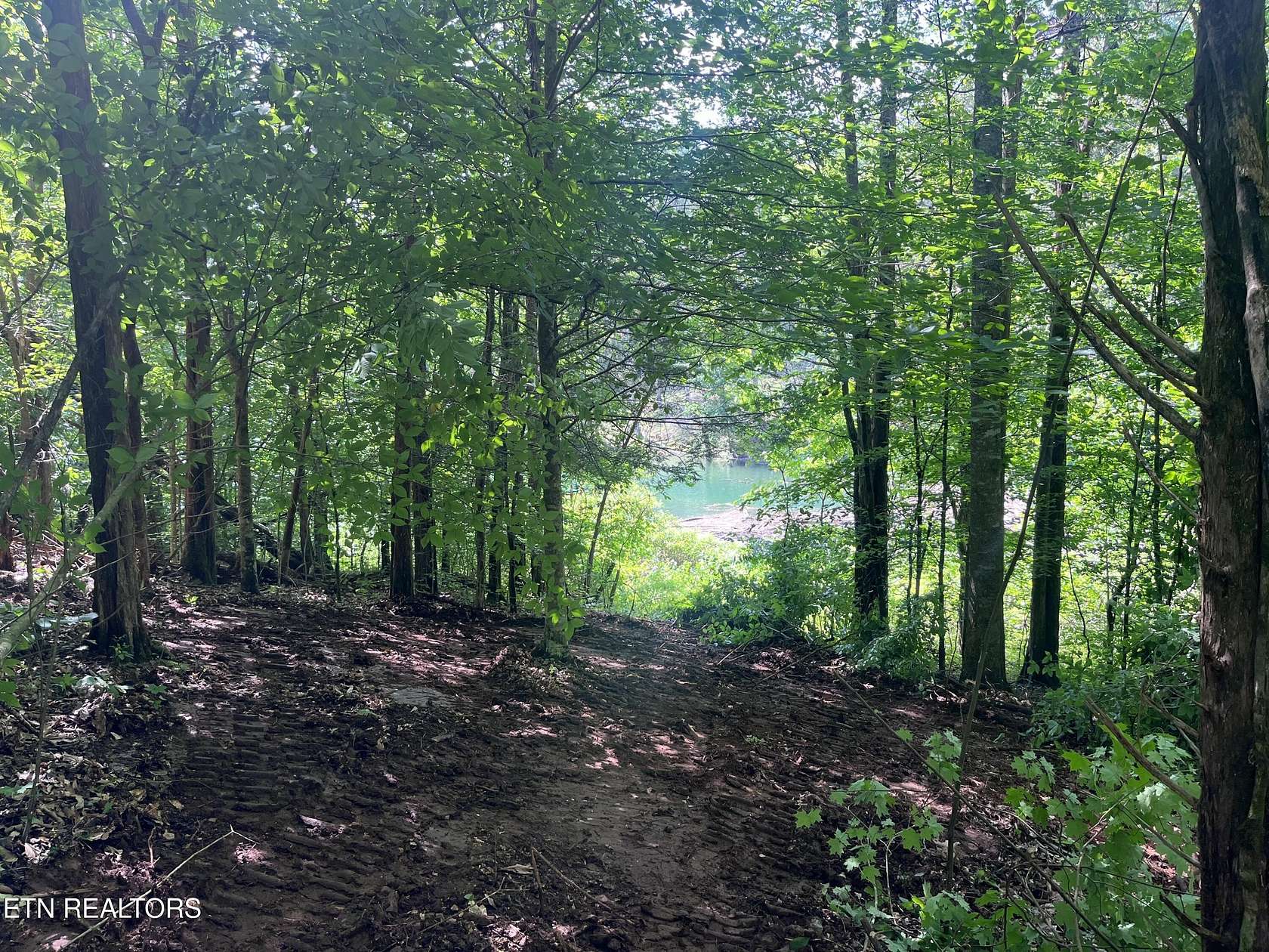 2 Acres of Residential Land for Sale in Sharps Chapel, Tennessee