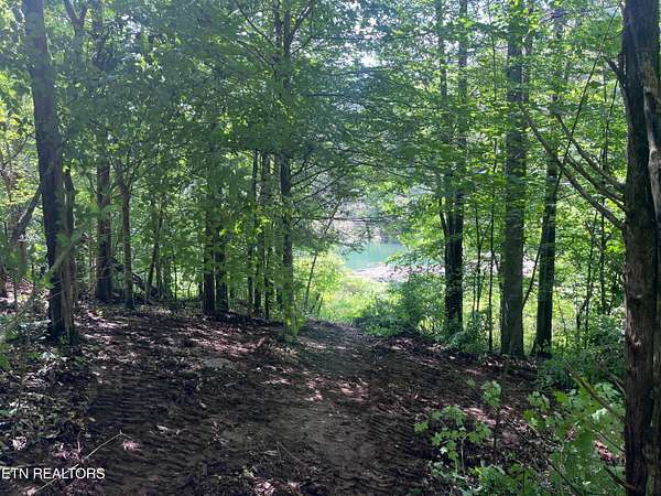 2 Acres of Residential Land for Sale in Sharps Chapel, Tennessee