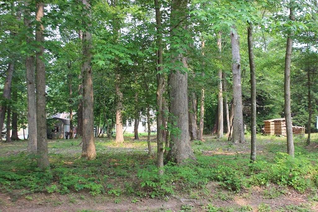 0.22 Acres of Residential Land for Sale in Greenbackville, Virginia