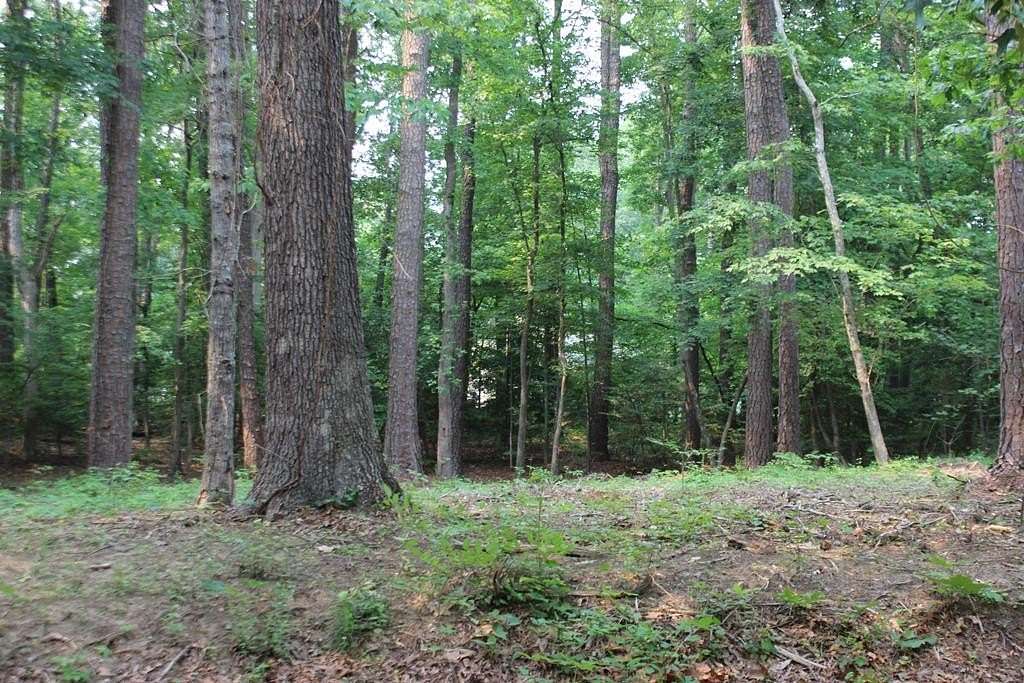 0.22 Acres of Residential Land for Sale in Greenbackville, Virginia
