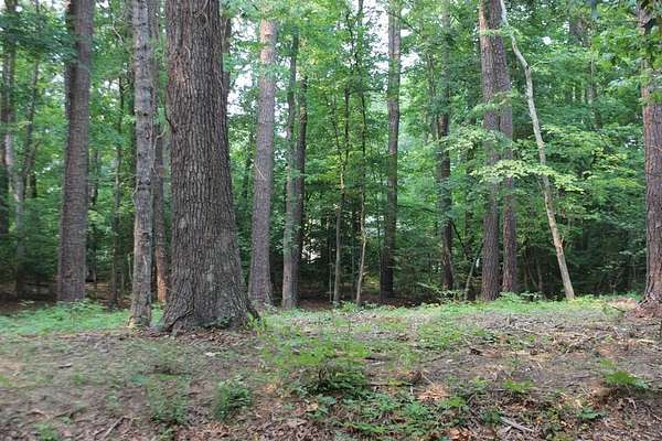 0.22 Acres of Residential Land for Sale in Greenbackville, Virginia