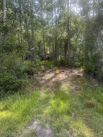 9.62 Acres of Residential Land for Sale in Waldo, Florida