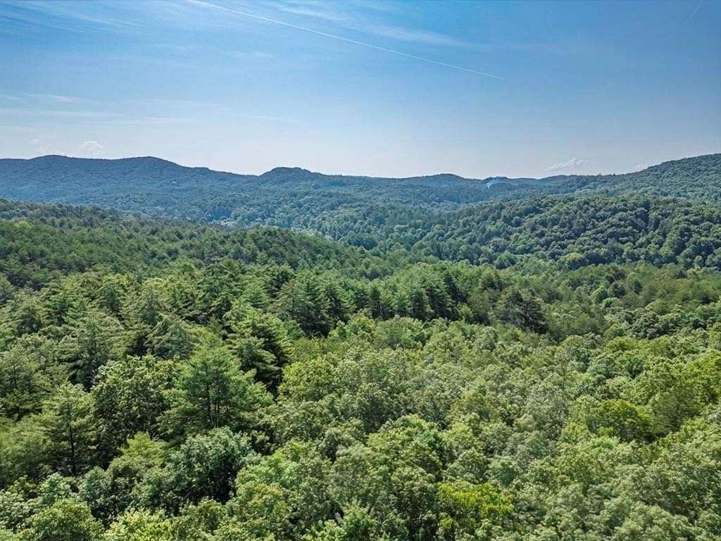 84 Acres of Land for Sale in Mineral Bluff, Georgia