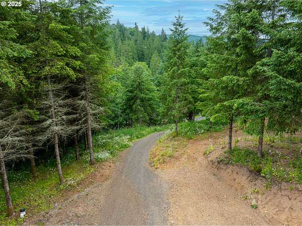 3.3 Acres of Land for Sale in Kelso, Washington