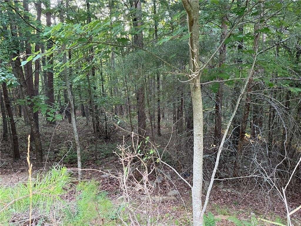 3 Acres of Residential Land for Sale in Jasper, Georgia