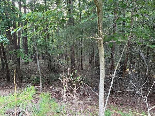3 Acres of Residential Land for Sale in Jasper, Georgia
