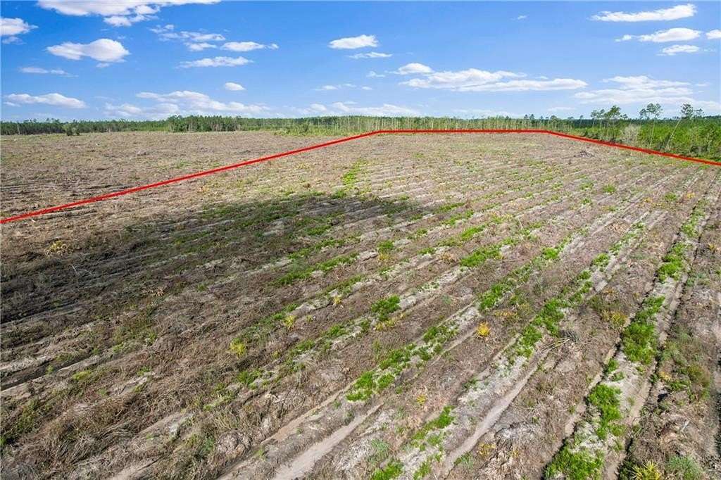 37 Acres of Land for Sale in Odum, Georgia