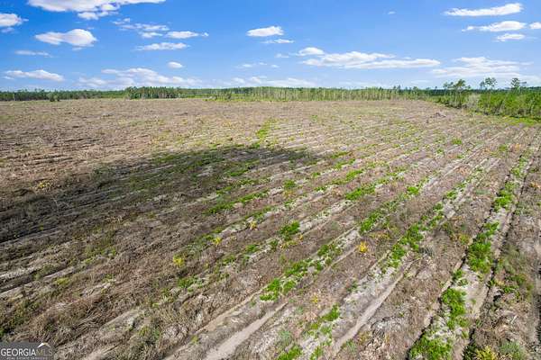 37 Acres of Recreational Land for Sale in Odum, Georgia