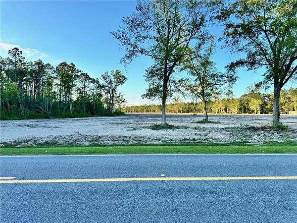 43.6 Acres of Agricultural Land for Sale in Blackshear, Georgia