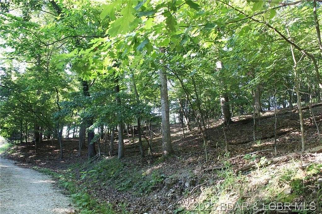 0.69 Acres of Residential Land for Sale in Gravois Mills, Missouri