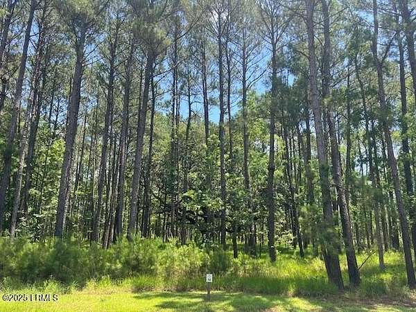 2.66 Acres of Residential Land for Sale in Hardeeville, South Carolina