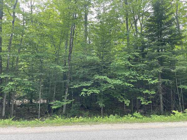 5 Acres of Residential Land for Sale in Manistique, Michigan
