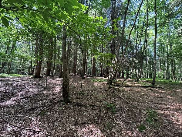 51.3 Acres of Recreational Land for Sale in Oneonta, New York