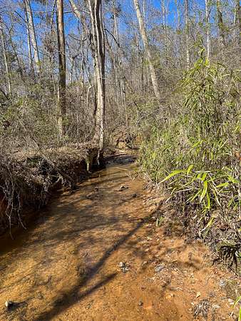 155 Acres of Recreational Land for Auction in Wedowee, Alabama