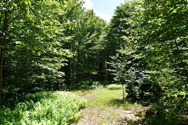 5.1 Acres of Land for Sale in Colchester Town, New York