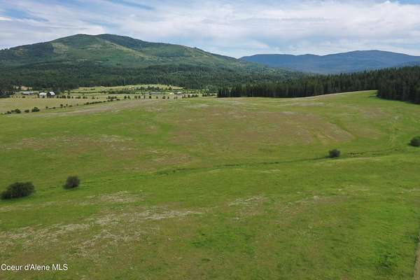 20 Acres of Land for Sale in St. Maries, Idaho