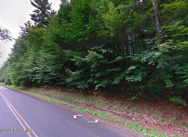 25.7 Acres of Land for Sale in Greenfield Center, New York