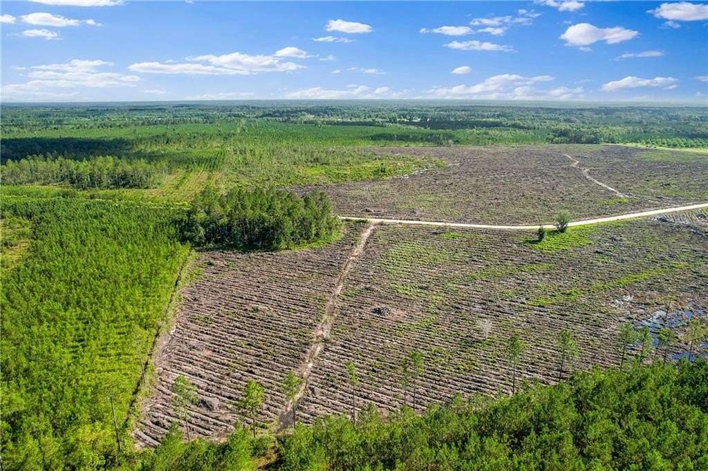 12 Acres of Land for Sale in Odum, Georgia