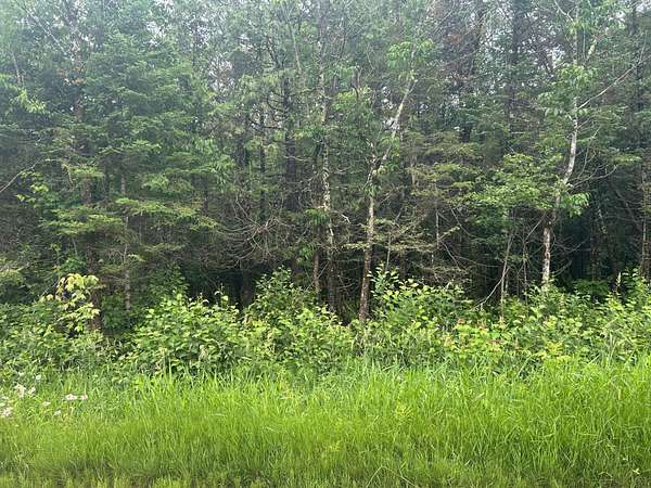 5 Acres of Land for Sale in Catawba, Wisconsin