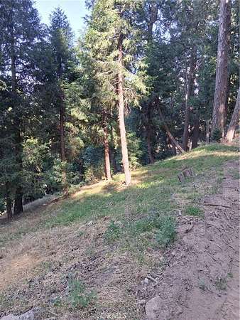 0.06 Acres of Land for Sale in Cedarpines Park, California