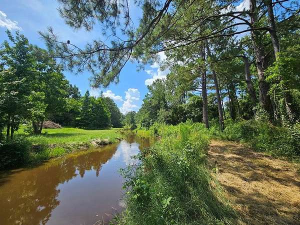 1 Acre of Residential Land for Sale in Carriere, Mississippi