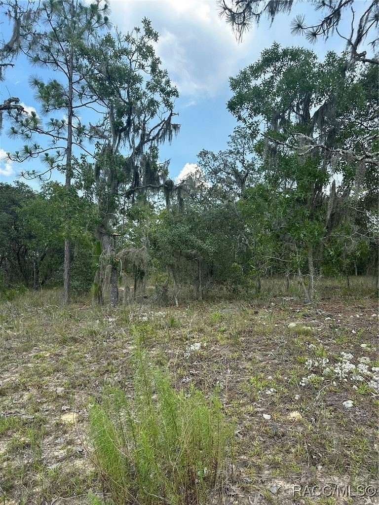 1 Acre of Land for Sale in Lecanto, Florida