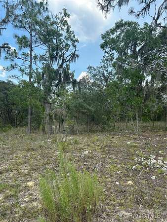 1 Acre of Land for Sale in Lecanto, Florida