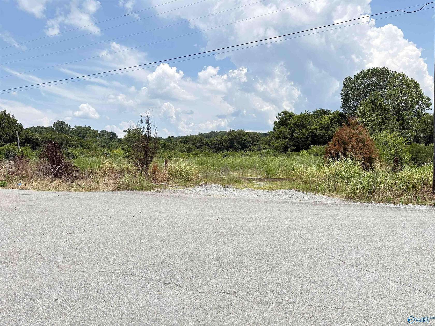 3 Acres of Land for Sale in Stevenson, Alabama