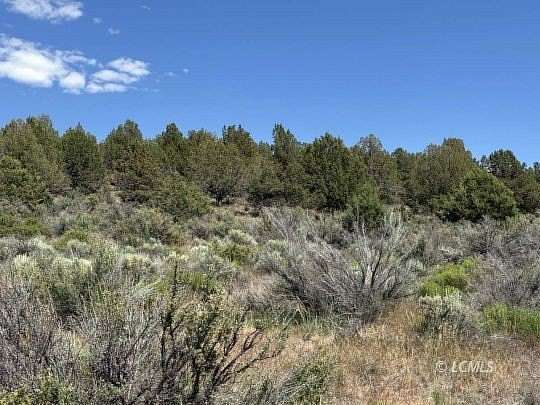 3 Acres of Residential Land for Sale in Beatty, Oregon