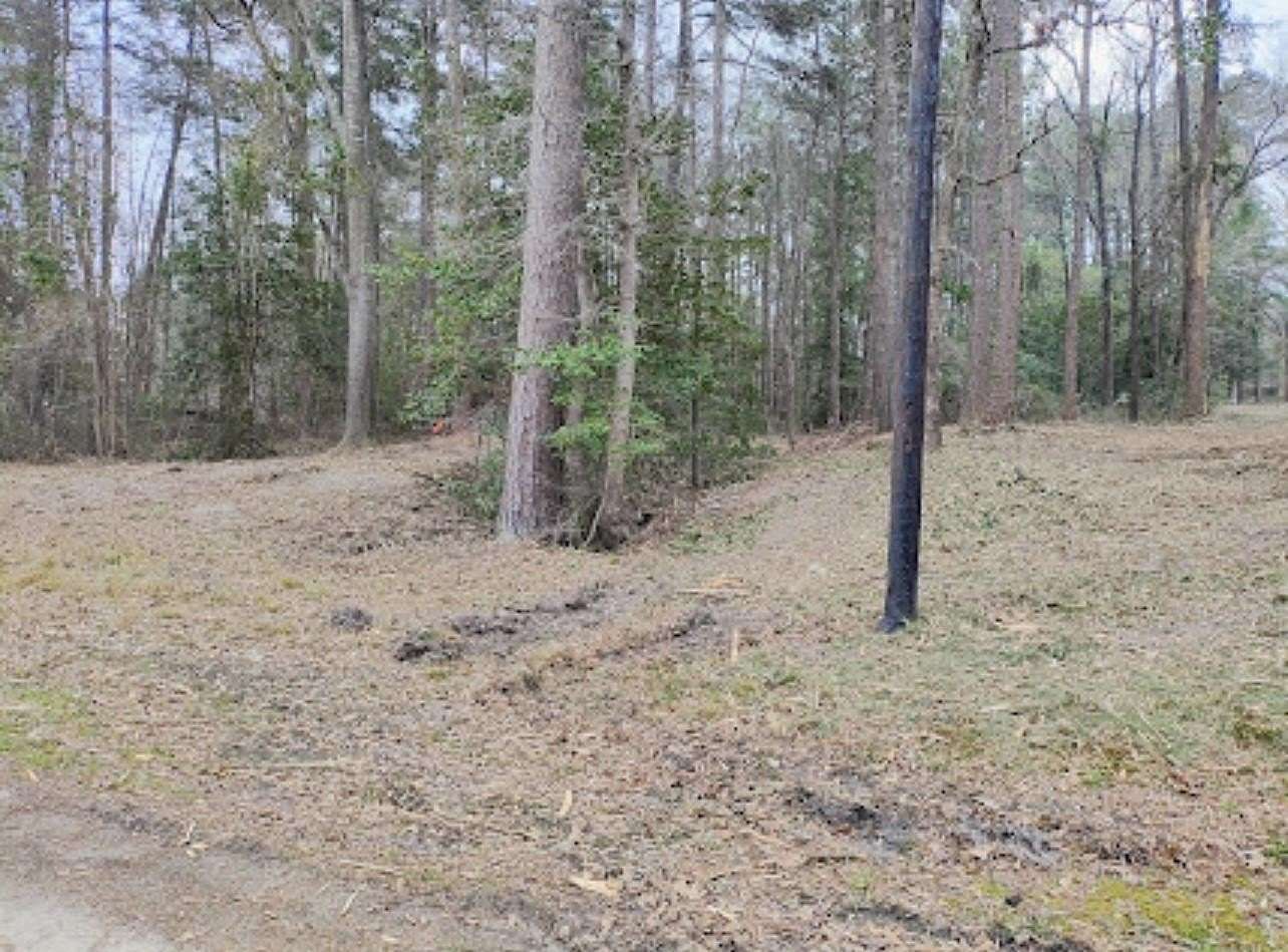 0.28 Acres of Land for Sale in Harleton, Texas