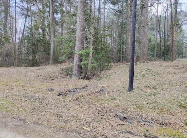 0.28 Acres of Land for Sale in Harleton, Texas