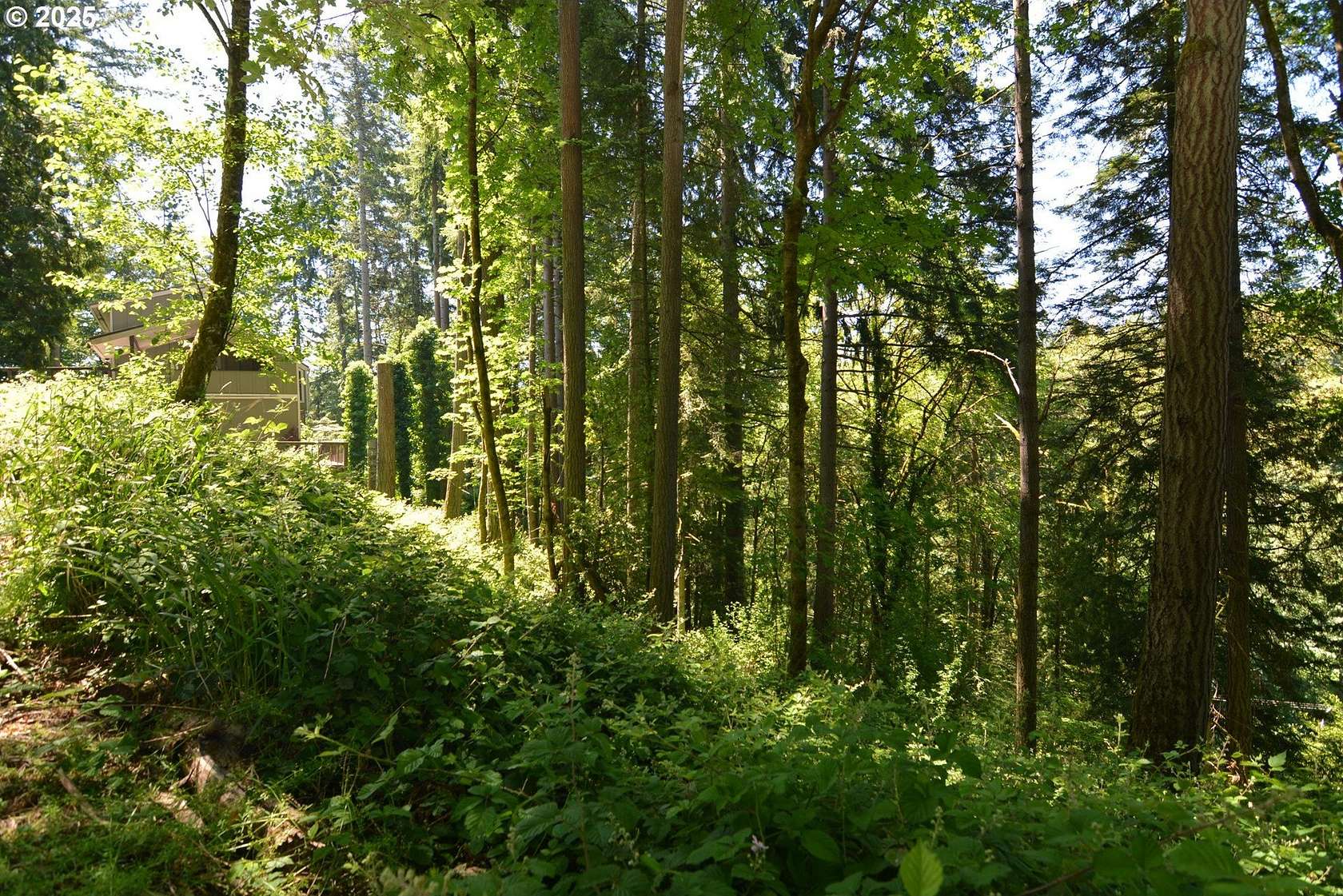 0.62 Acres of Residential Land for Sale in Longview, Washington