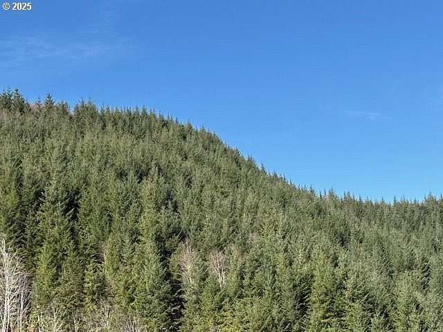 78 Acres of Land for Sale in Blodgett, Oregon