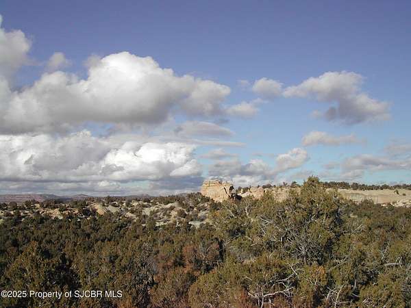 16.2 Acres of Land for Sale in Aztec, New Mexico
