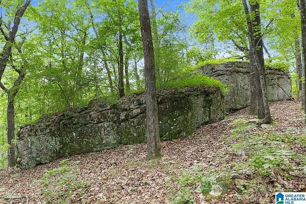 2.8 Acres of Residential Land for Sale in Hayden, Alabama