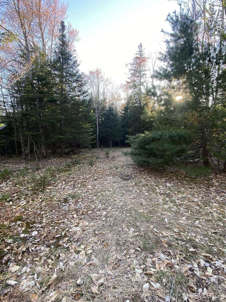 23.7 Acres of Recreational Land for Sale in Shingleton, Michigan