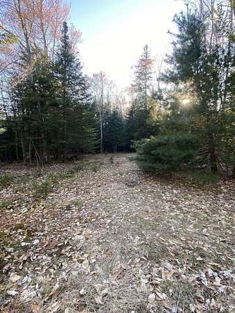 23.7 Acres of Recreational Land for Sale in Shingleton, Michigan