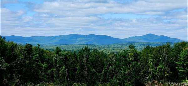 80 Acres of Land for Sale in Accord, New York