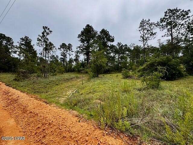 5 Acres of Residential Land for Sale in Chipley, Florida
