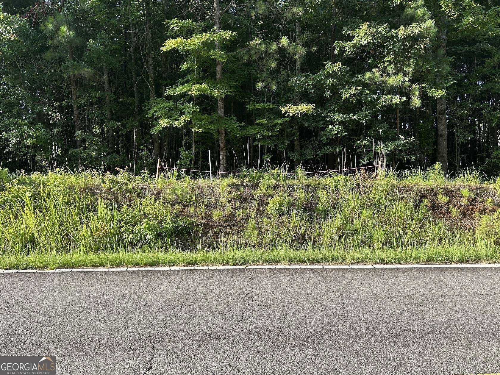 10 Acres of Land for Sale in Whitesburg, Georgia