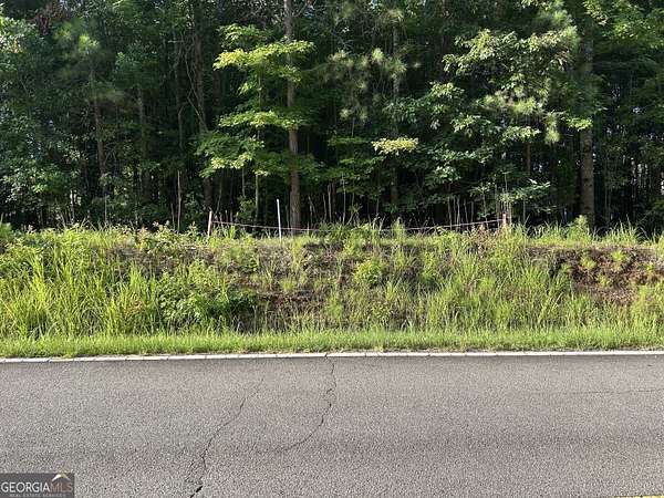 10 Acres of Land for Sale in Whitesburg, Georgia