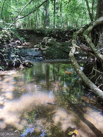 102 Acres of Recreational Land for Sale in Elberton, Georgia