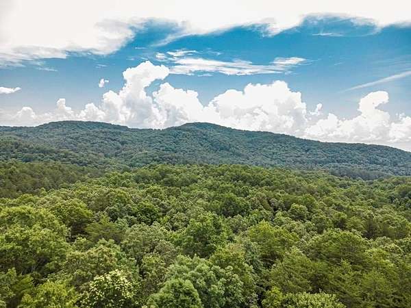 56.5 Acres of Land for Sale in Mineral Bluff, Georgia