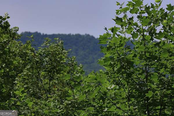 2.32 Acres of Residential Land for Sale in Clayton, Georgia