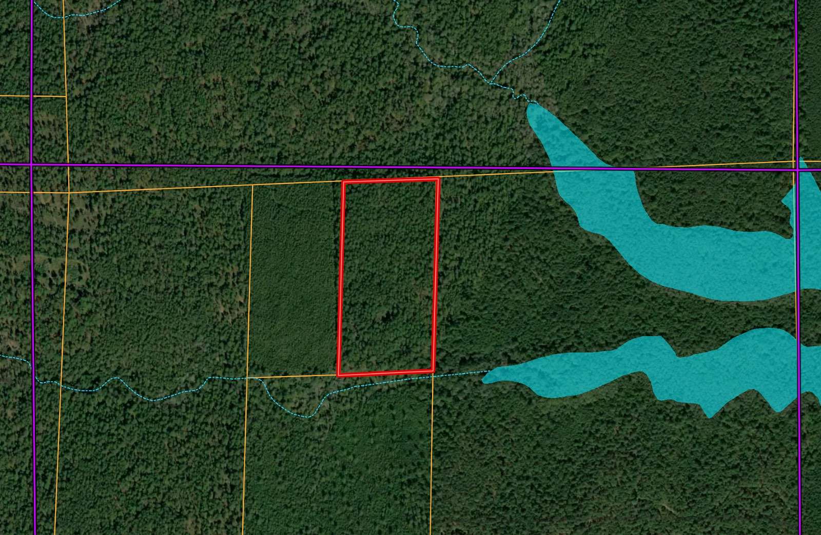 20 Acres of Recreational Land for Sale in Clearwater, Louisiana
