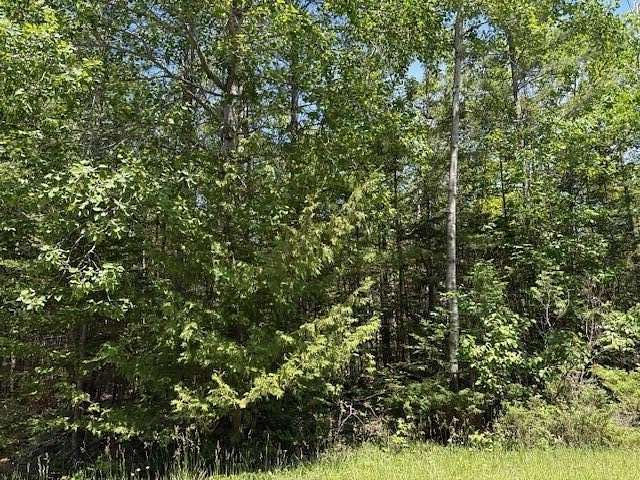 0.26 Acres of Land for Sale in Presque Isle, Michigan
