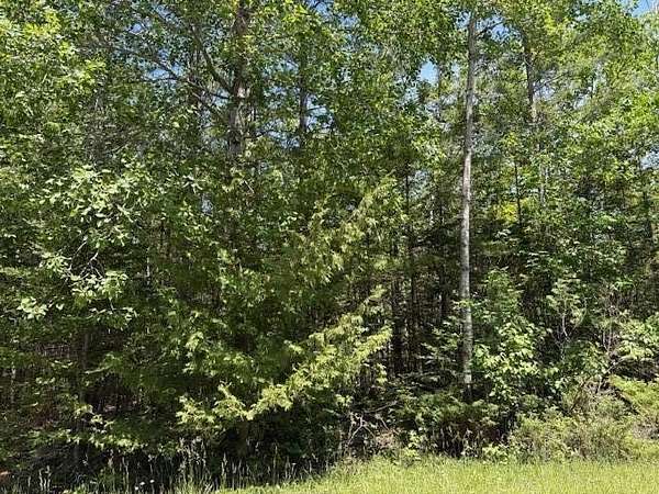 0.26 Acres of Land for Sale in Presque Isle, Michigan