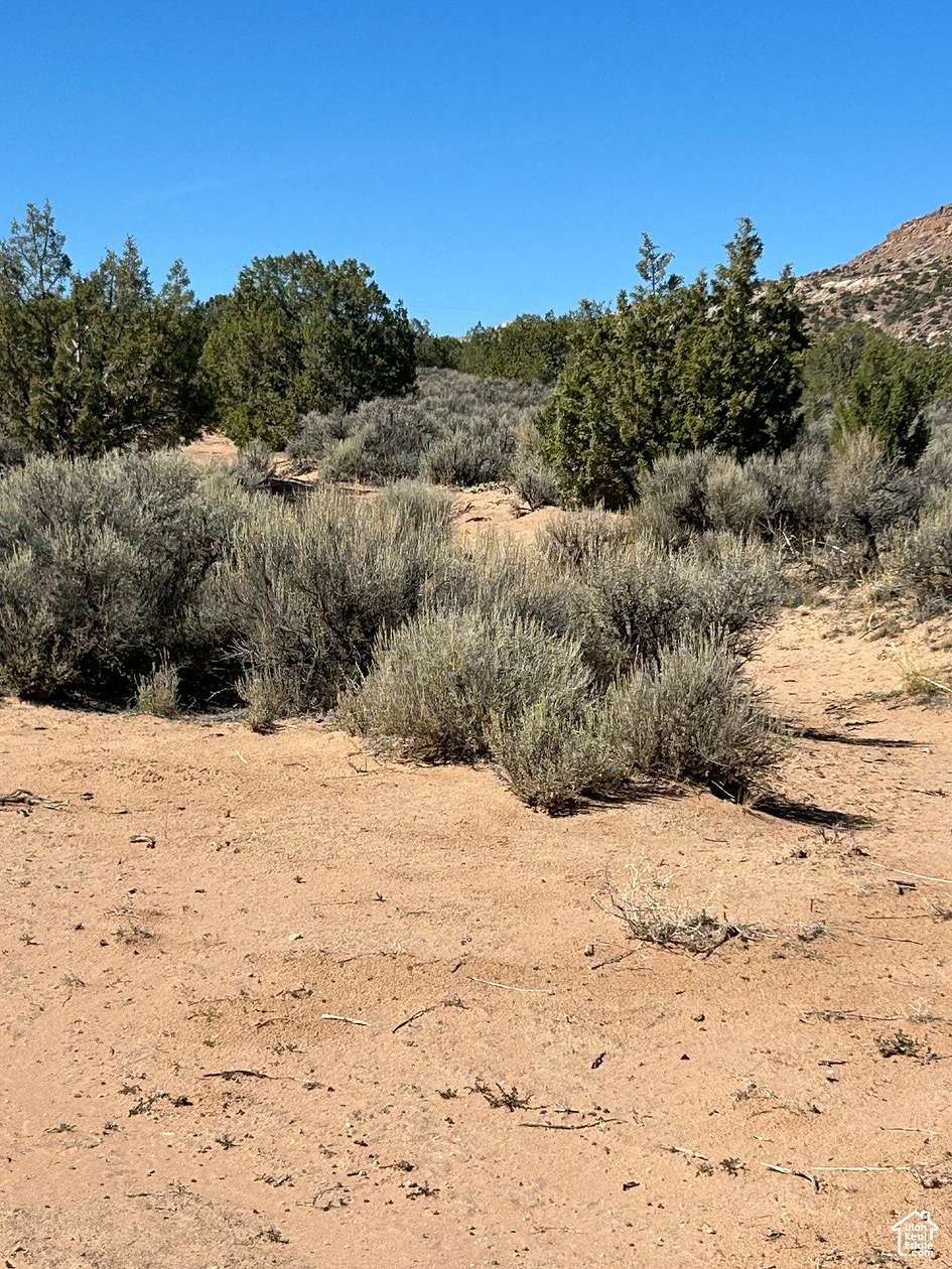 10 Acres of Recreational Land for Sale in Bluebell, Utah