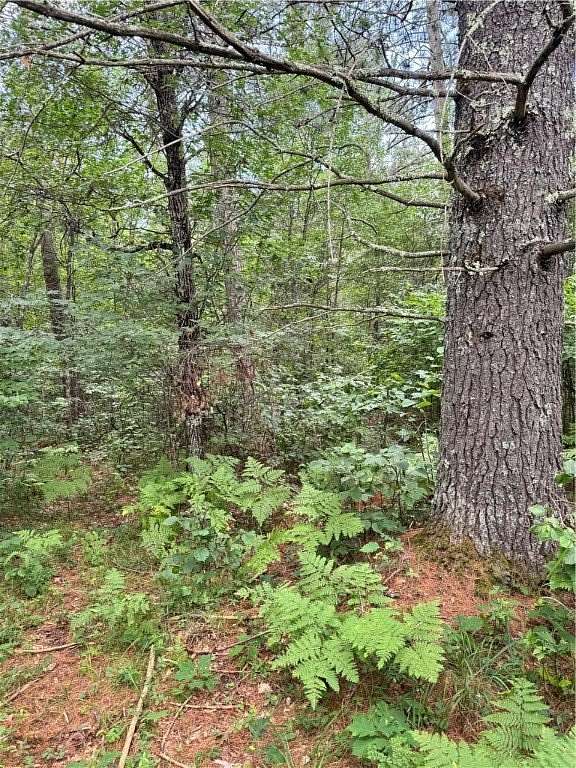 0.92 Acres of Land for Sale in Barnes Town, Wisconsin